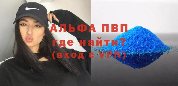 гашик Белокуриха