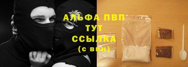гашик Белокуриха