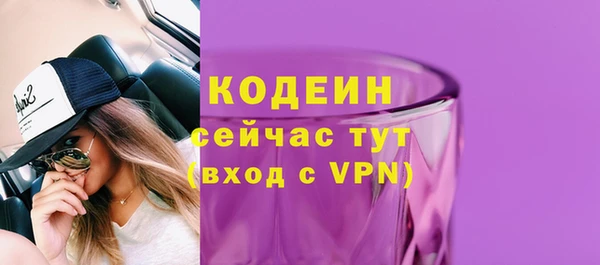 гашик Белокуриха