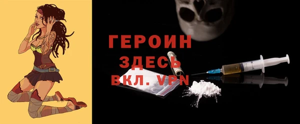 индика Саяногорск