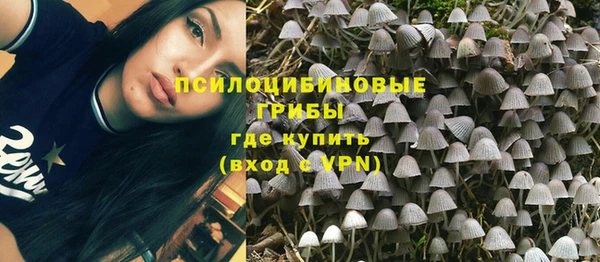 гашик Белокуриха