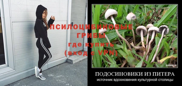 гашик Белокуриха