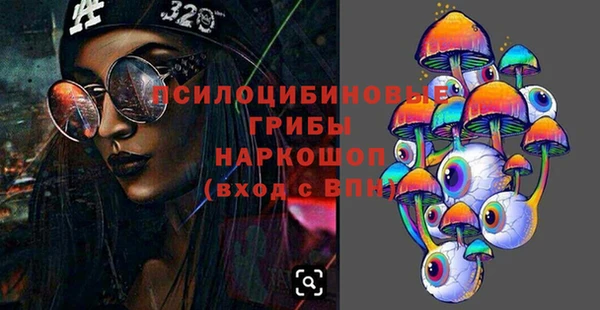 гашик Белокуриха