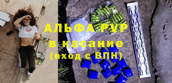 гашик Белокуриха
