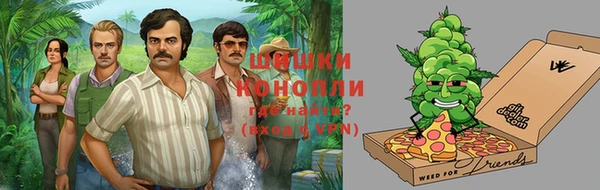 гашик Белокуриха