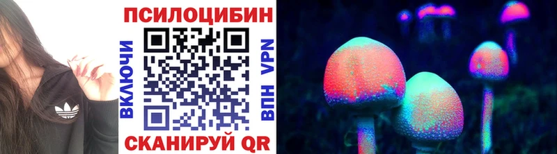 купить   Малмыж  Галлюциногенные грибы GOLDEN TEACHER 
